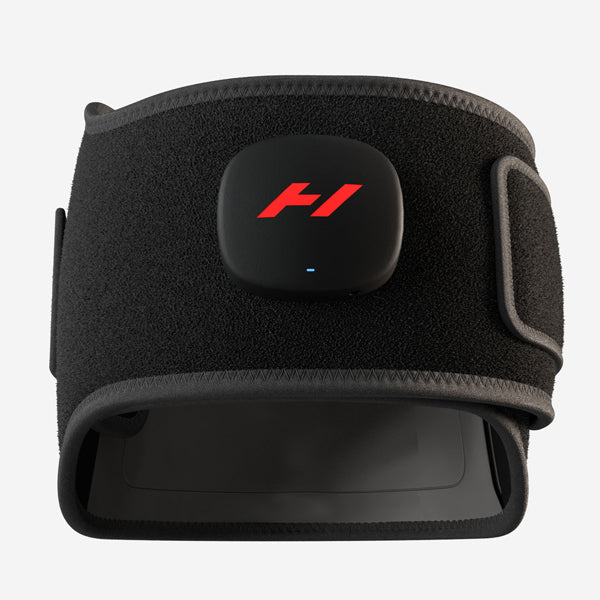 11月23日までの期間限定セール Venom 2 Back ベノム2 バック 正規代理店 HYPERICE ハイパーアイス 腰専用