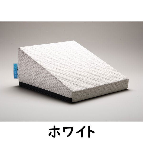 フレックスクッション サンテプラス 股割りストレッチ補助 開脚クッション 背骨リセット