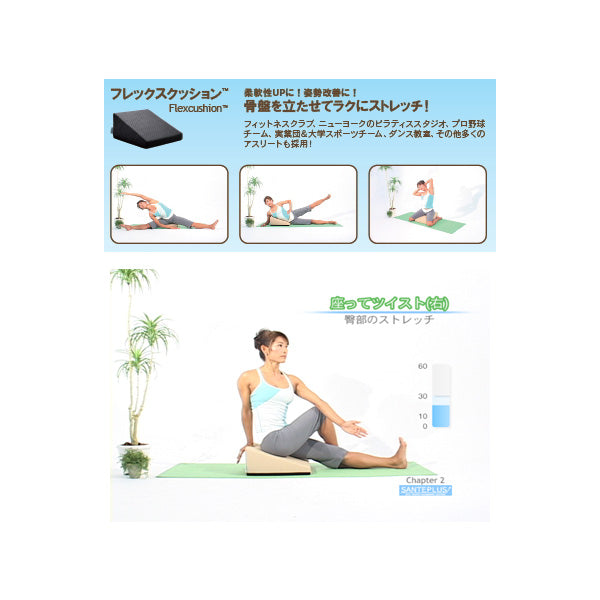 フレックスクッション サンテプラス 股割りストレッチ補助 開脚クッション 背骨リセット