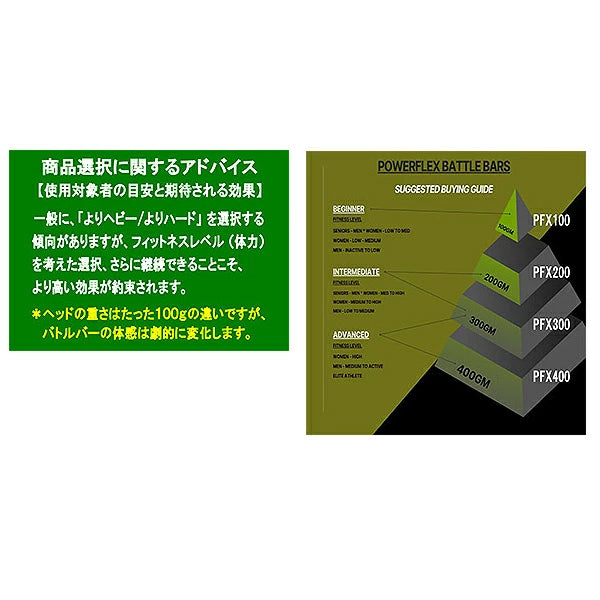 パワーフレックス バトルバー 100 POWERFLEX BATTLE BAR 100