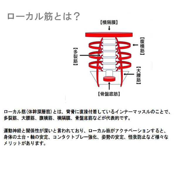 メトリクスフォーム(ミニ)BODYMETRIX ボディメトリクス 体幹マット トレーニングマット リハビリ 姿勢 ローカル筋 腰痛 肩こり 膝痛予防