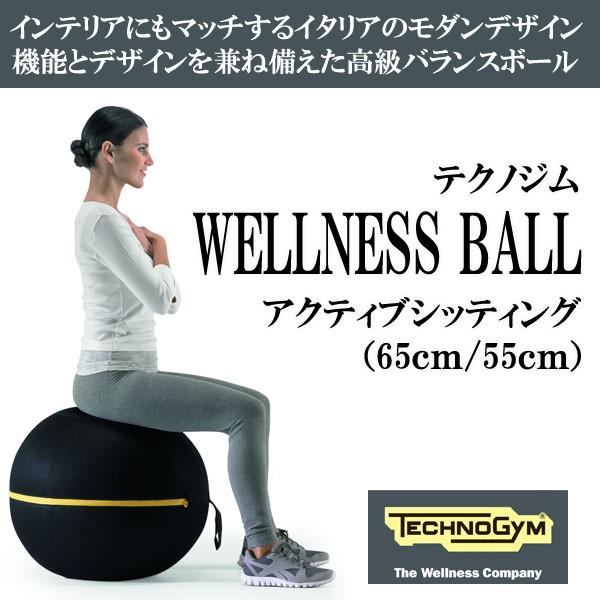 テクノジム アクティブシッティング バランスボールチェア 55cm WELLNESS BALL Technogym