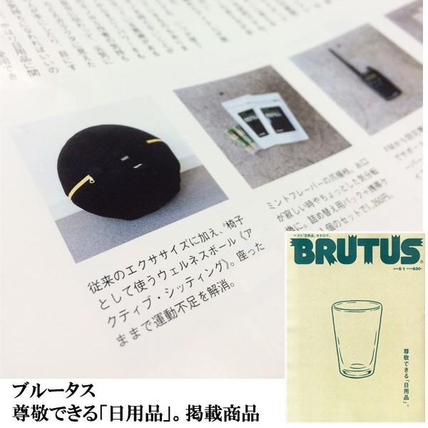 テクノジム アクティブシッティング バランスボールチェア 55cm WELLNESS BALL Technogym