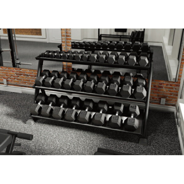 3-TIERDUMBBELLRACK3段ダンベルラック9NN-R8003ノーチラス[Nautilus]収納ラック家庭用ジムジムダンベルラック