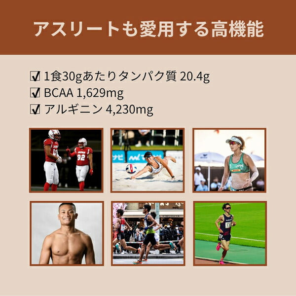 アノマプロテインチョコレート味（600g）[ANOMA]えんどう豆ピープロテインヴィーガンベジタリアングルテンフリー人工甘味料不使用MCTオイルロイシン