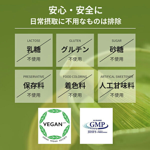 アノマプロテイン抹茶味（600g）[ANOMA]えんどう豆ピープロテインヴィーガンベジタリアンロイシングルテンフリー人工甘味料不使用