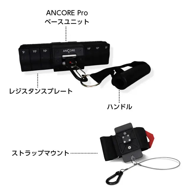 ANCORE PROセット