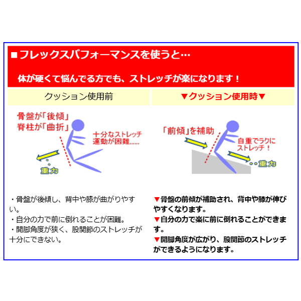フレックスクッション サンテプラス 股割りストレッチ補助 開脚クッション 背骨リセット