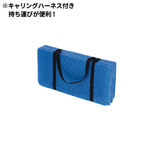 ニシスポーツエクサマットNE-6【カラー：パープル×イエロー】【正規代理店】[NISHIスポーツ]