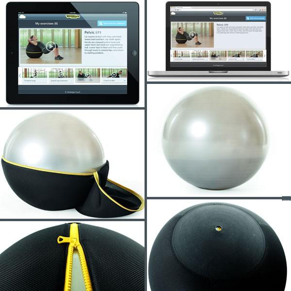 テクノジム アクティブシッティング バランスボールチェア 55cm WELLNESS BALL Technogym